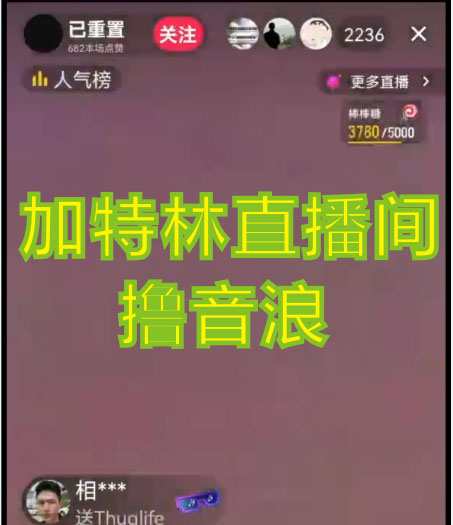 (4791期)2023抖音加特林直播间搭建技术,0粉开播-暴力撸音浪-日入800+【素材+教程】