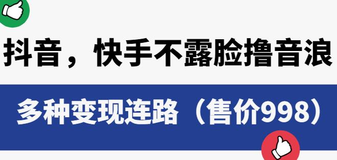 抖音快手不露脸撸音浪项目,多种变现连路(售价998)
