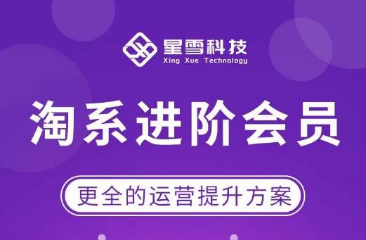 星雪·淘系进阶课程,快速提升突破技能流量瓶颈必备(更新2023年5月)
