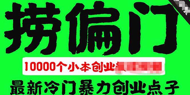 (5750期)千款捞偏门小本创业小项目,总有一款适合你【无水印】