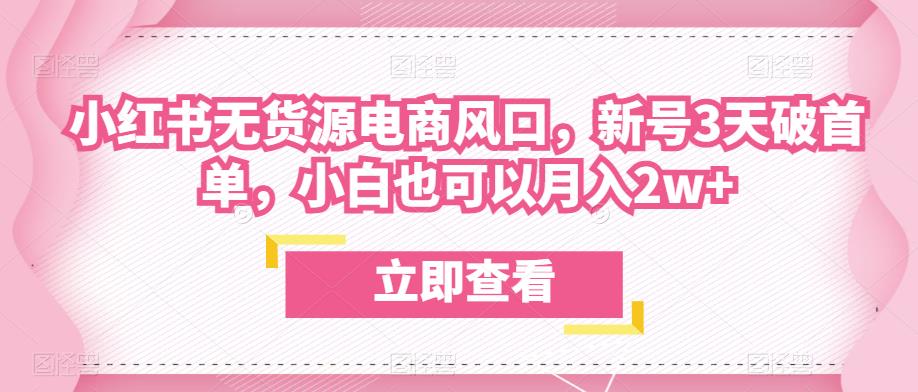 众狼电商余文小红书无货源电商风口,新号3天破首单,小白也可以月入2w+