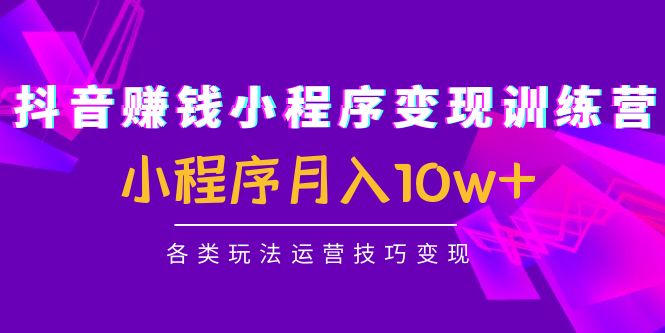 抖音赚钱小程序变现训练营:小程序月入10w+各类玩法运营技巧变现