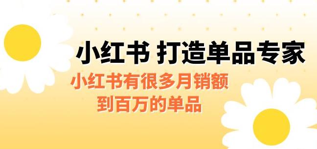 某公众号付费文章《小红书打造单品专家》小红书有很多月销额到百万的单品 某公众号付费文章《小红书打造单品专家》小红书有很多月销额到百万的单品