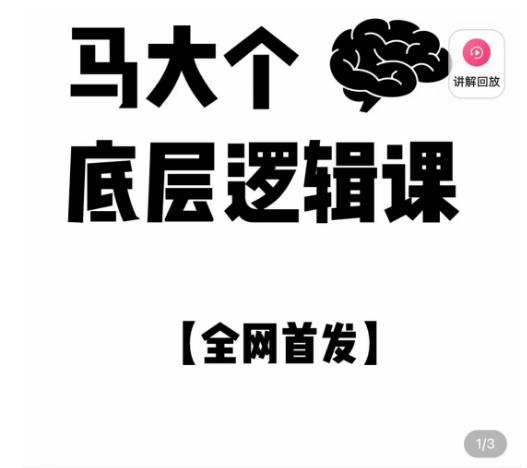 马大个·底层逻辑课,51节底层逻辑智慧课-价值1980元