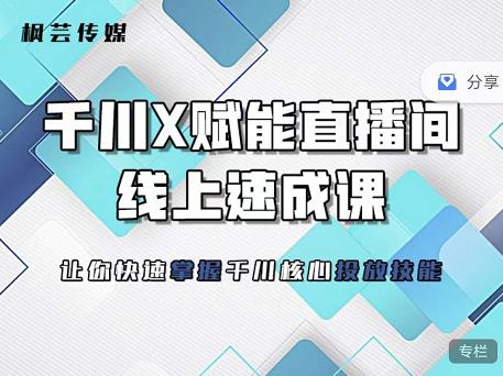枫芸传媒-线上千川提升课,提升千川认知,提升千川投放效果