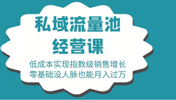 16堂私域流量池经营课:低成本实现指数级销售增长,零基础没人脉也能月入过万